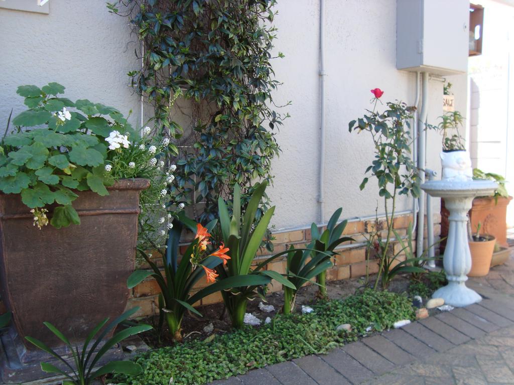 Hotel Brookdale House Kapstadt Exterior foto