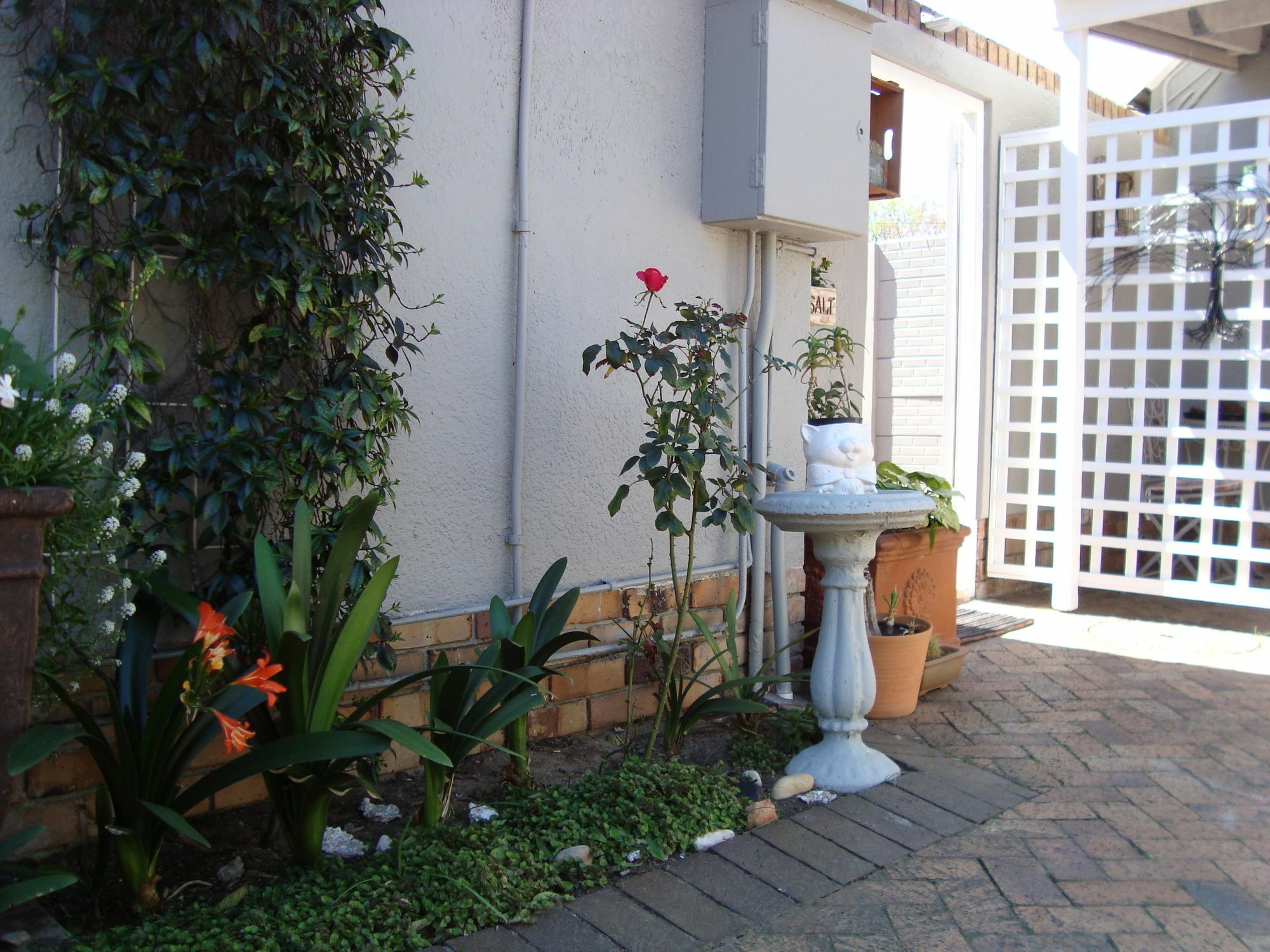Hotel Brookdale House Kapstadt Exterior foto